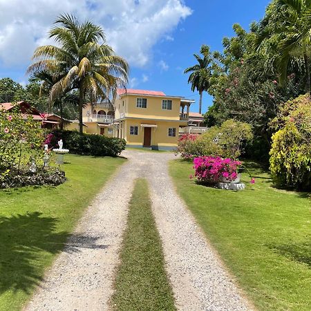 Little Shaw Park Guest House Ocho Rios Eksteriør bilde