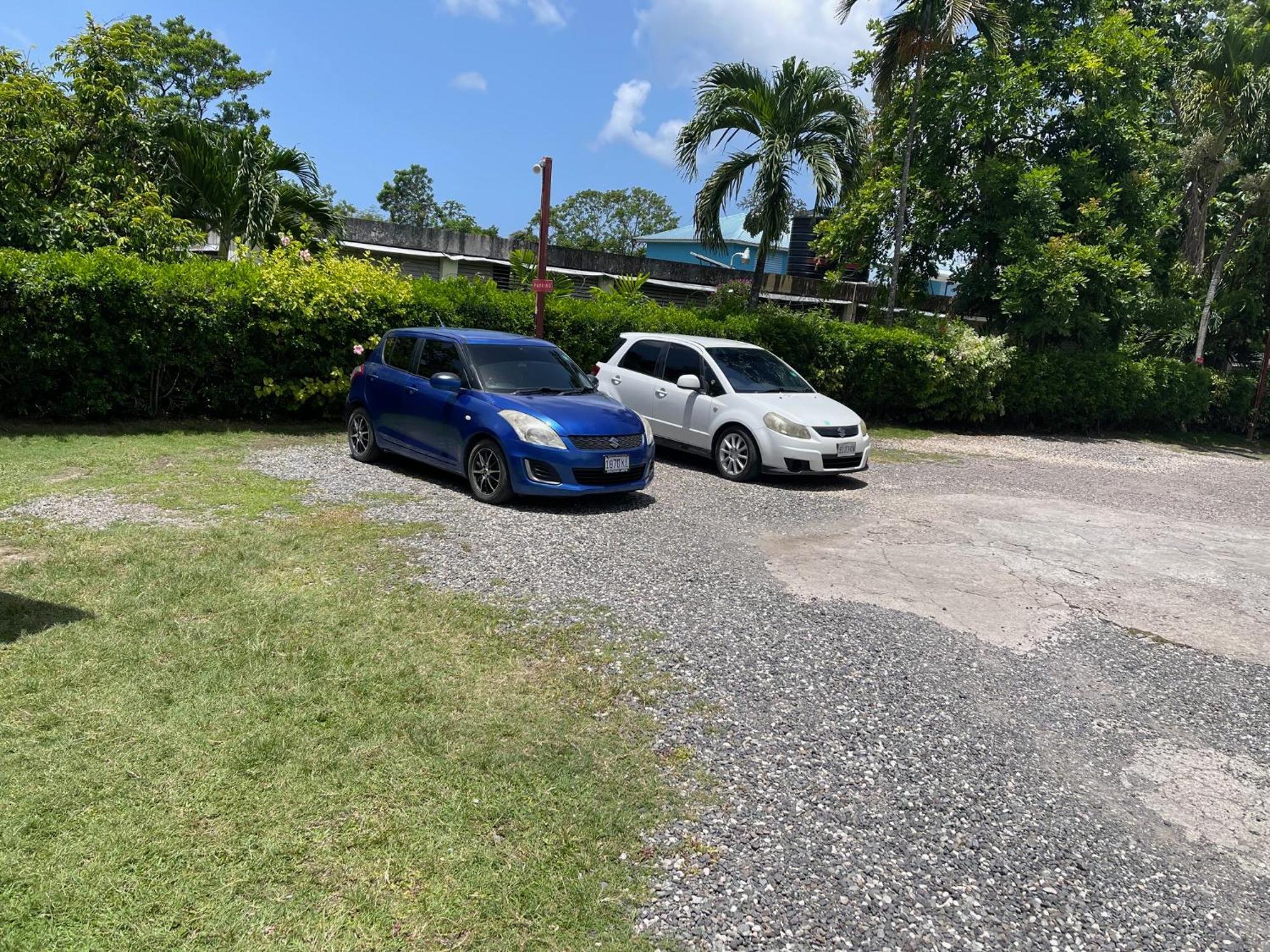 Little Shaw Park Guest House Ocho Rios Eksteriør bilde