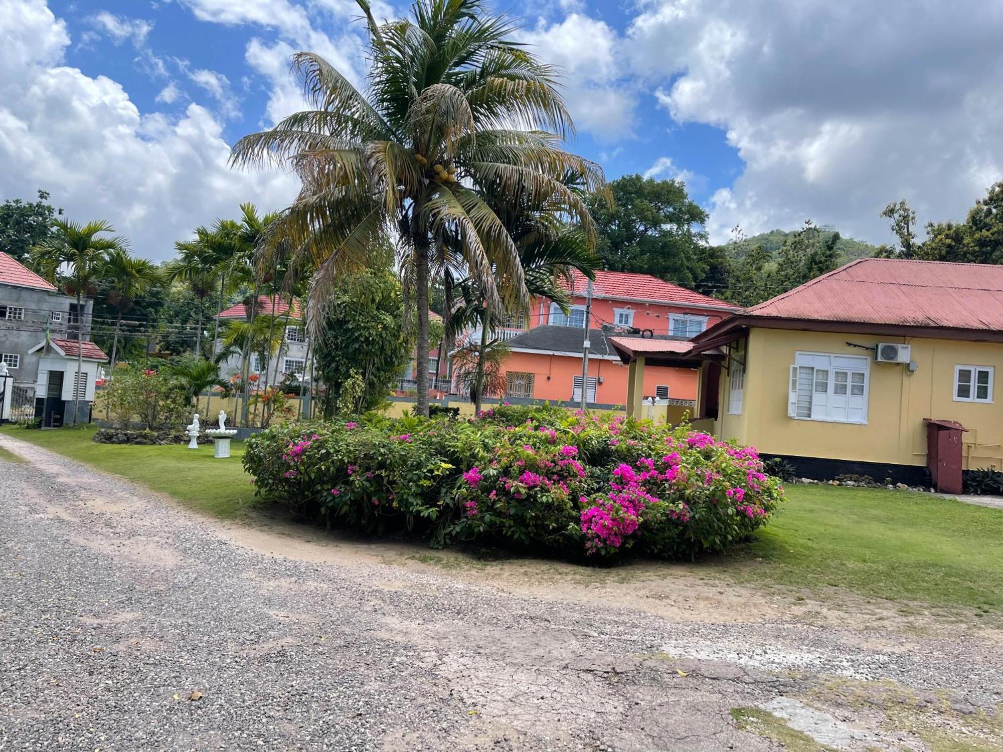 Little Shaw Park Guest House Ocho Rios Eksteriør bilde