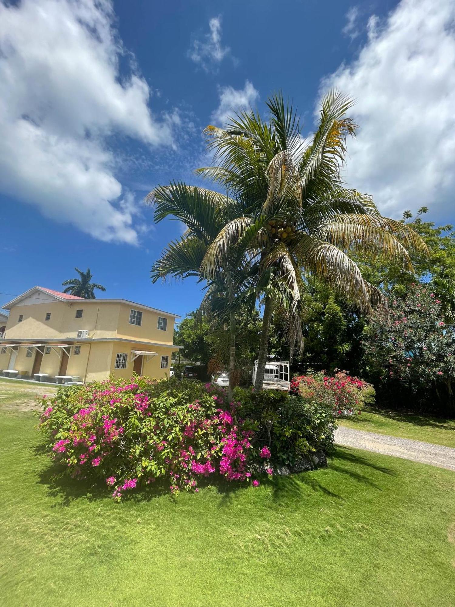 Little Shaw Park Guest House Ocho Rios Eksteriør bilde